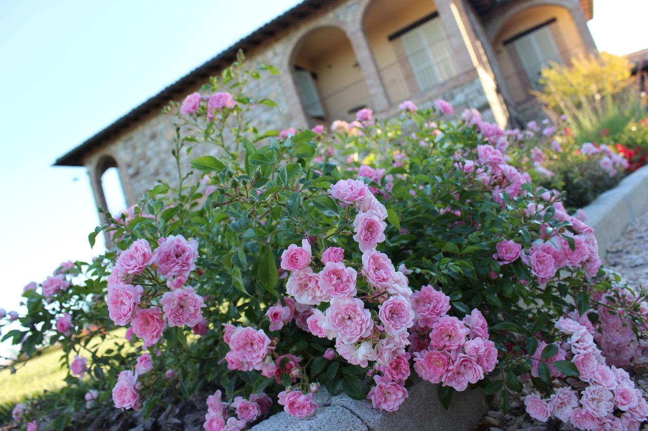 Agriturismo Fattoria Di Monticello San Venanzo Экстерьер фото