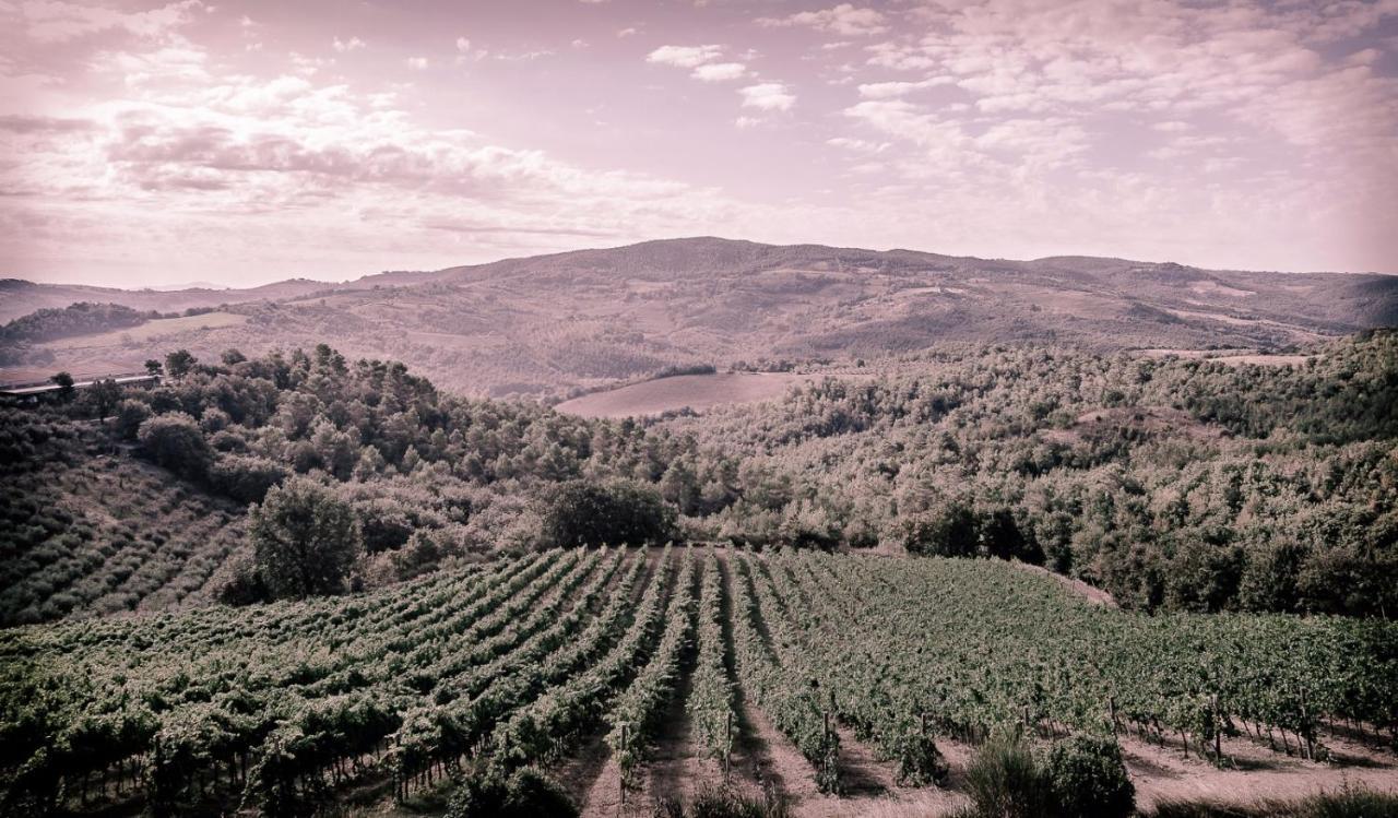 Agriturismo Fattoria Di Monticello San Venanzo Экстерьер фото