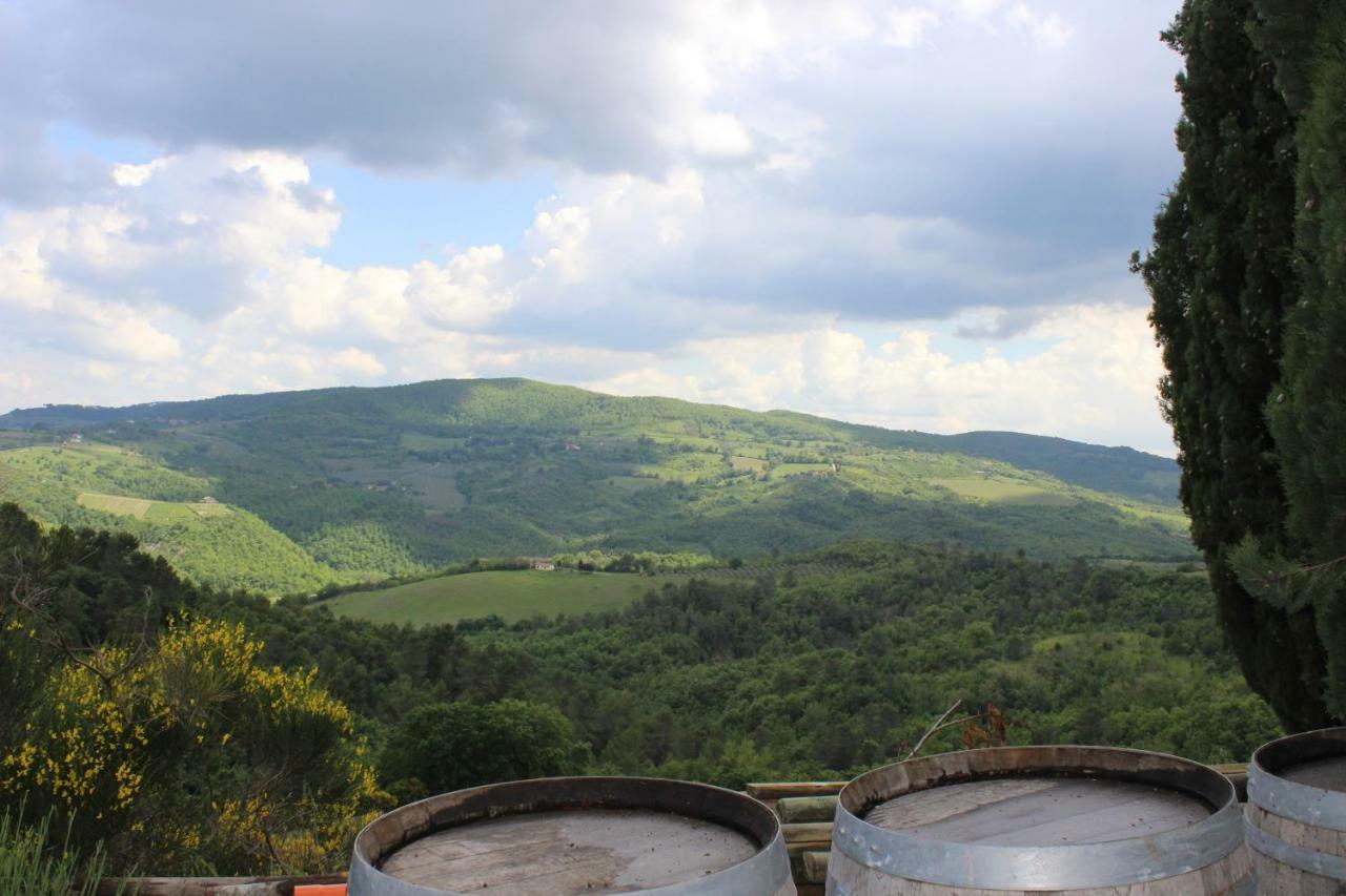 Agriturismo Fattoria Di Monticello San Venanzo Экстерьер фото