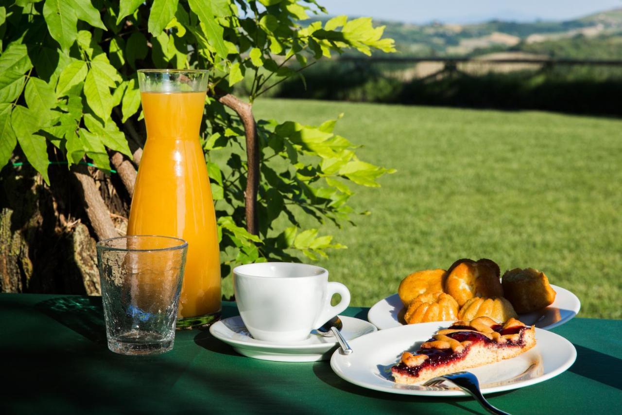 Agriturismo Fattoria Di Monticello San Venanzo Экстерьер фото